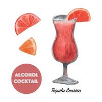 Watercolor clipart of alcohol cocktails Tequila Sunrise vector