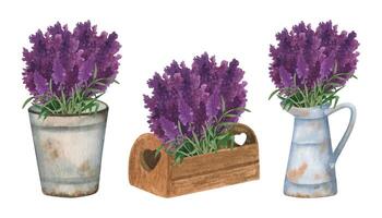 Provence watercolor rusty bucket with lavender flowers, wooden box and canvas bags vector