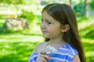 pretty little girl in the nature, girl in summer photo