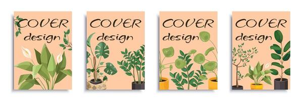 Home plants cover brochure set in flat design. Poster templates with diffarent houseplants and potted greenery, calla lily flowers with leaves in pot, monstera foliage and others. Vector illustration.