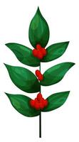 Coffee plant branch vector