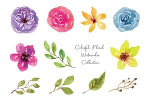 Colorful Flower and Leaf Watercolor Collection vector