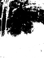 Rustic grunge texture with grain and stains. Abstract noise background. PNG graphic illustration with transparent background.