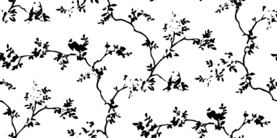 Rustic grunge texture with grain and stains. Abstract noise background. PNG graphic illustration with transparent background.