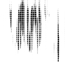 rustik grunge textur med spannmål och fläckar. abstrakt ljud bakgrund. png grafisk illustration med transparent bakgrund.