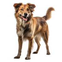 ai gegenereerd hond klem kunst png