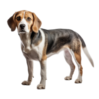 ai gegenereerd hond klem kunst png