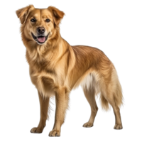 ai gegenereerd hond klem kunst png