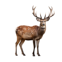 AI generated Deer clip art png