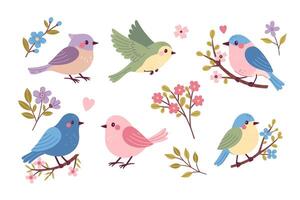conjunto de linda primavera pájaros cantores y flores vector gráficos.