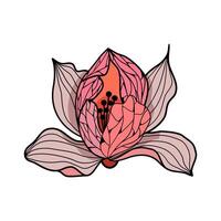 Magnolia flower in stained glass technique vector