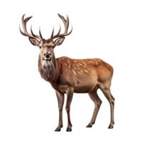 AI generated Deer clip art png