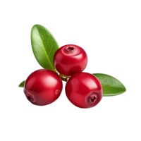 AI generated Cranberry clip art png