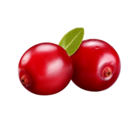 AI generated Cranberry clip art png