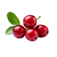 AI generated Cranberry clip art png