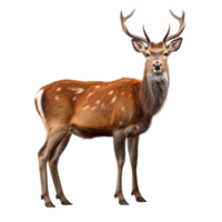 AI generated Deer clip art png