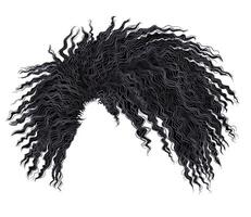 curly disheveled african black  hair vector