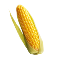 AI generated Corn clip art png