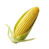 AI generated Corn clip art png