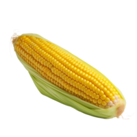 AI generated Corn clip art png