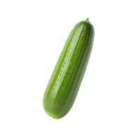 AI generated Cucumber clip art png