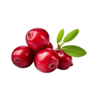 ai generiert Cranberry Clip Kunst png