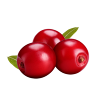 ai generiert Cranberry Clip Kunst png