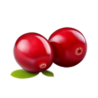 ai generiert Cranberry Clip Kunst png