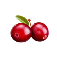 AI generated Cranberry clip art png