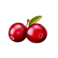 AI generated Cranberry clip art png