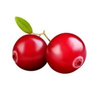 AI generated Cranberry clip art png