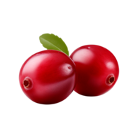 AI generated Cranberry clip art png