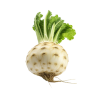 AI generated Celery root clip art png