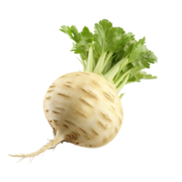 AI generated Celery root clip art png