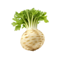 AI generated Celery root clip art png