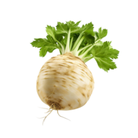 AI generated Celery root clip art png