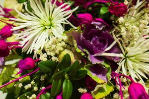 bouquet of nice colorful flowers in the garden photo