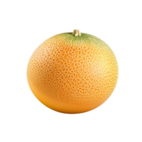 ai generato Cantalupo melone clip arte png