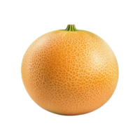 AI generated Cantaloupe melon clip art png