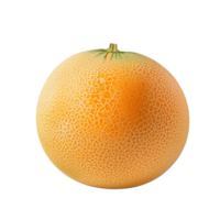 ai generado Cantalupo melón acortar Arte png