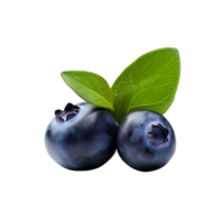 AI generated Blueberry clip art png