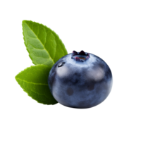 AI generated Blueberry clip art png