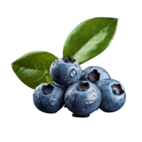 AI generated Blueberry clip art png