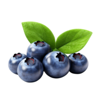 AI generated Blueberry clip art png