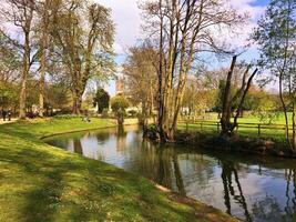 green landscape in the nature photo