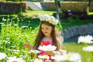 pretty little girl in the nature, girl in summer photo