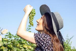 pretty young woman in the nature photo