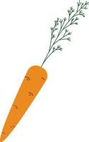 Orange carrot in cartoon style isolated in white background vector