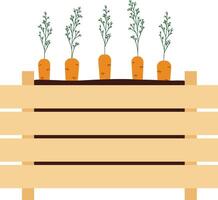 Cartoon carrots growing in wooden box isolated in white background vector