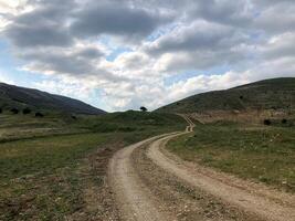 spring scenery, nature in spring photo